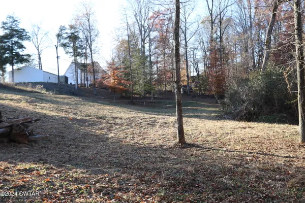 a view of a yard with trees