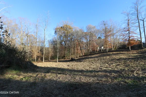 a view of a yard with large trees