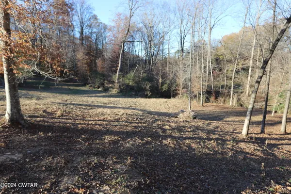 a view of a yard with plants and trees