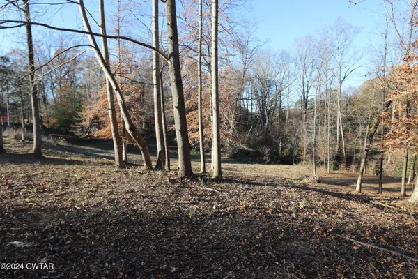 a view of a backyard of the house