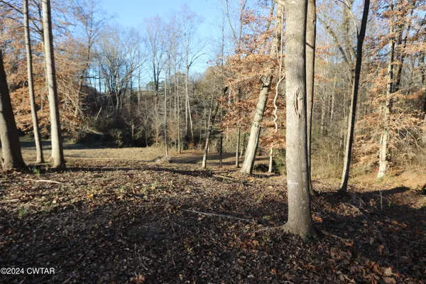 a view of house with backyard