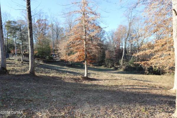 a view of a yard with trees