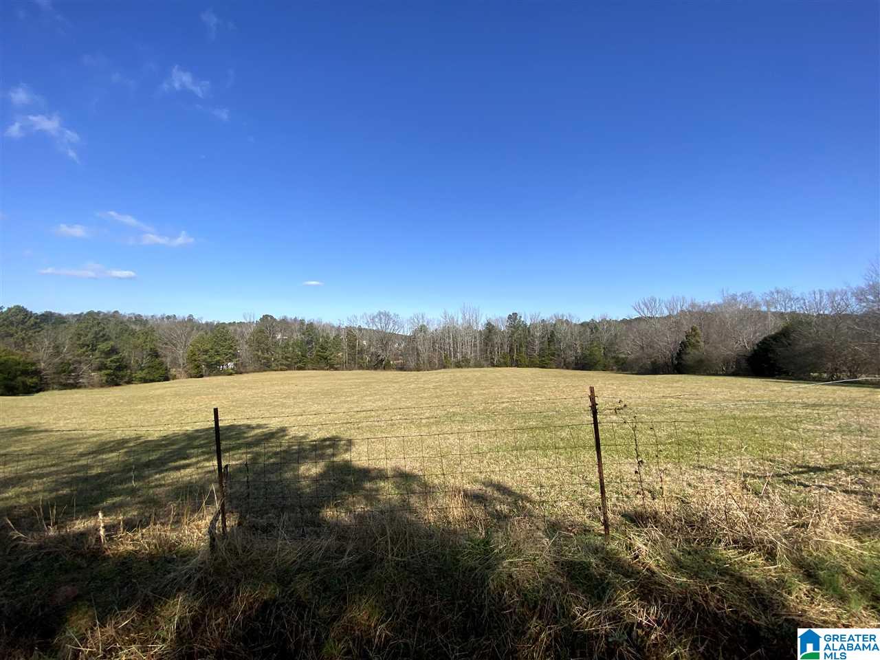 0 Eagle Bald Road, Unit 471 Jacksonville, AL 36265 - Photo 4 of 7