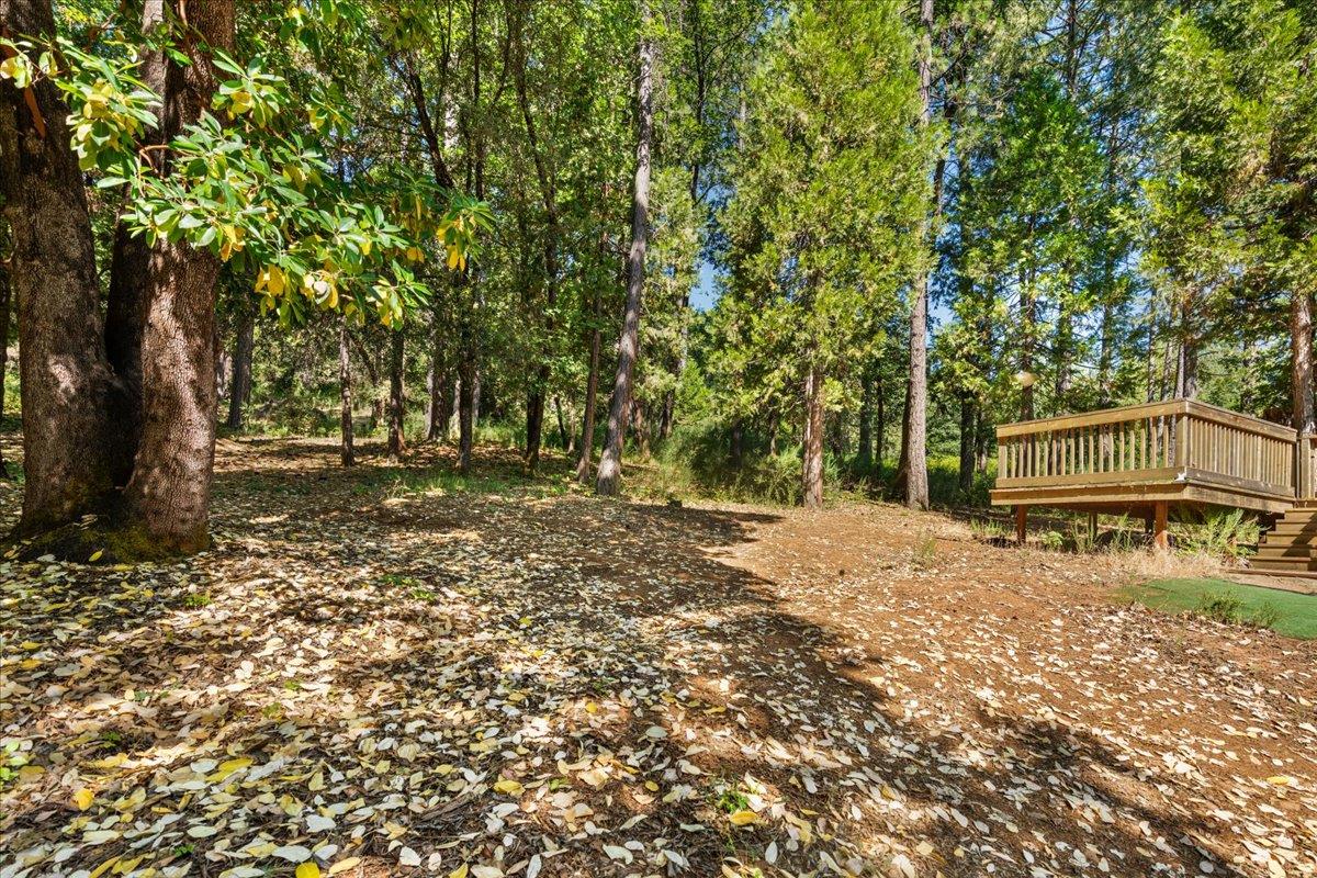 a view of outdoor space with deck and tree