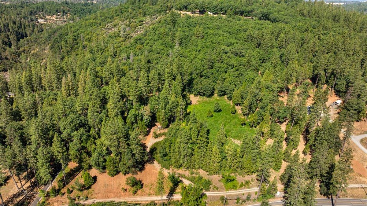 11620 Bitney Springs Road Nevada City, CA 95959 - Photo 14 of 19 a view of a bunch of trees and bushes