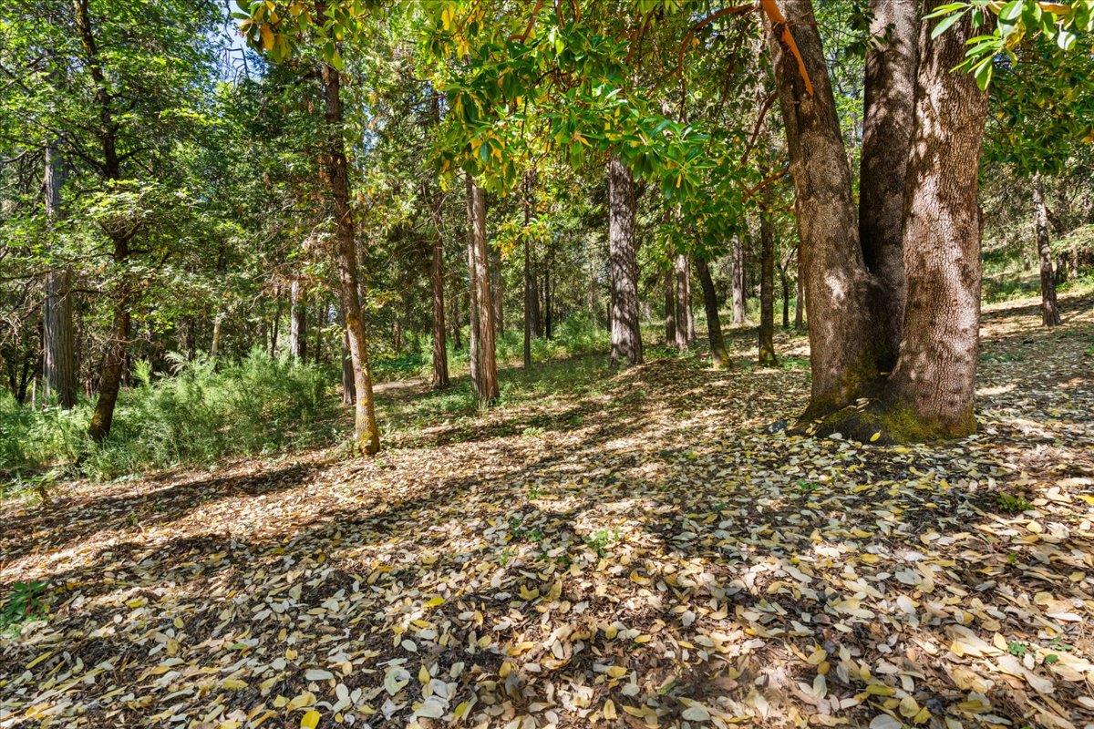 11620 Bitney Springs Road Nevada City, CA 95959 - Photo 18 of 19 a view of outdoor space and yard