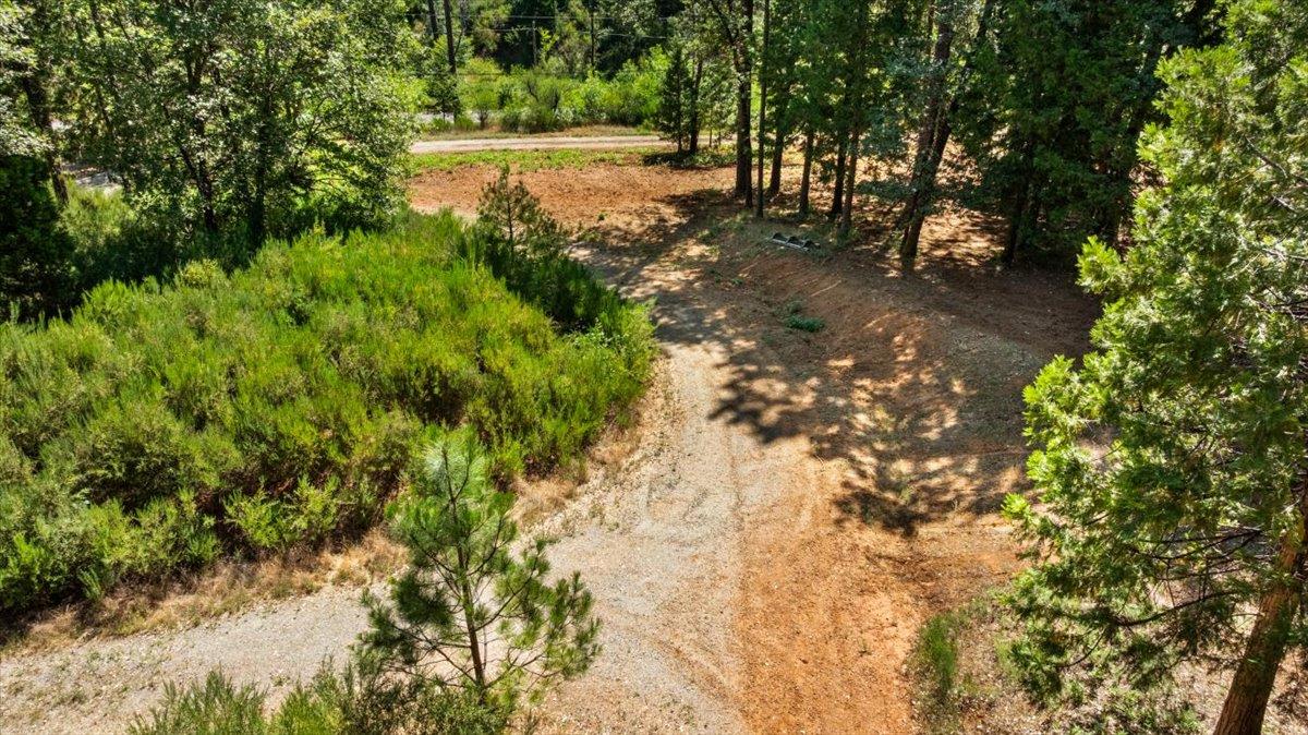 11620 Bitney Springs Road Nevada City, CA 95959 - Photo 6 of 19 a view of lake with tree