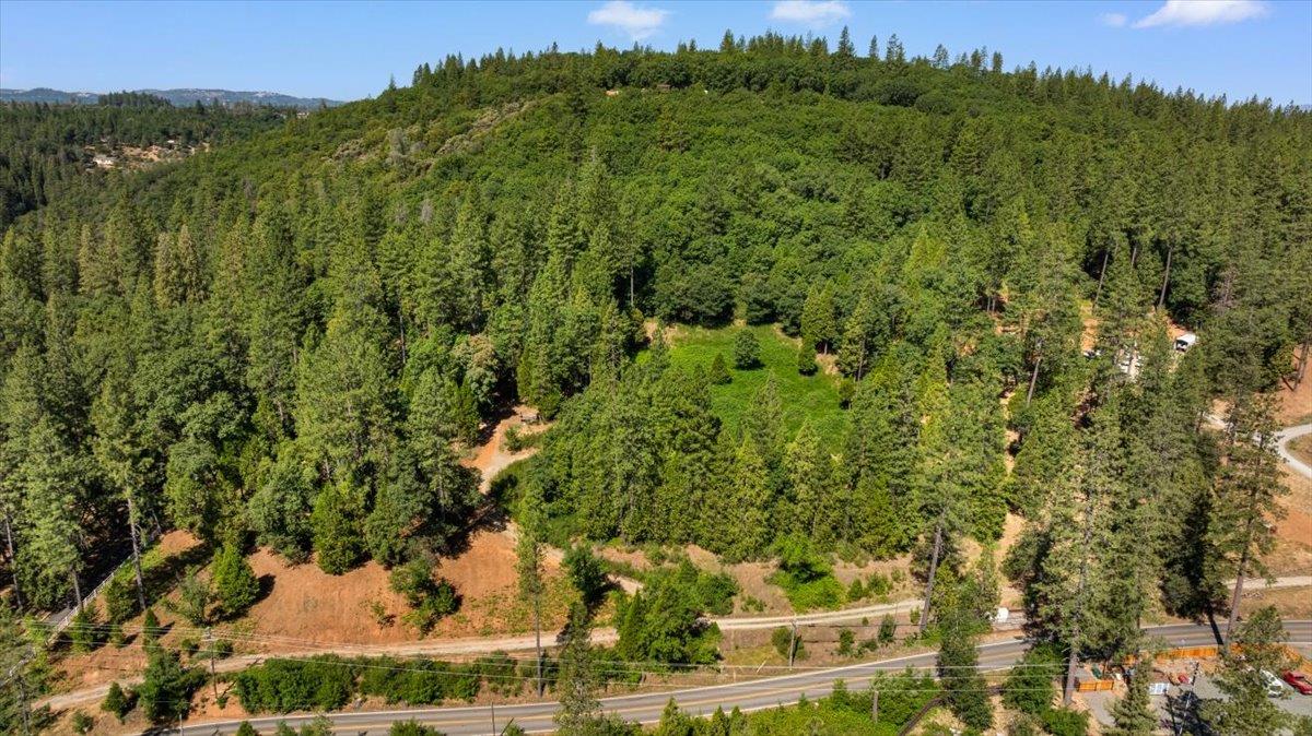 11620 Bitney Springs Road Nevada City, CA 95959 - Photo 8 of 19 a view of a big yard