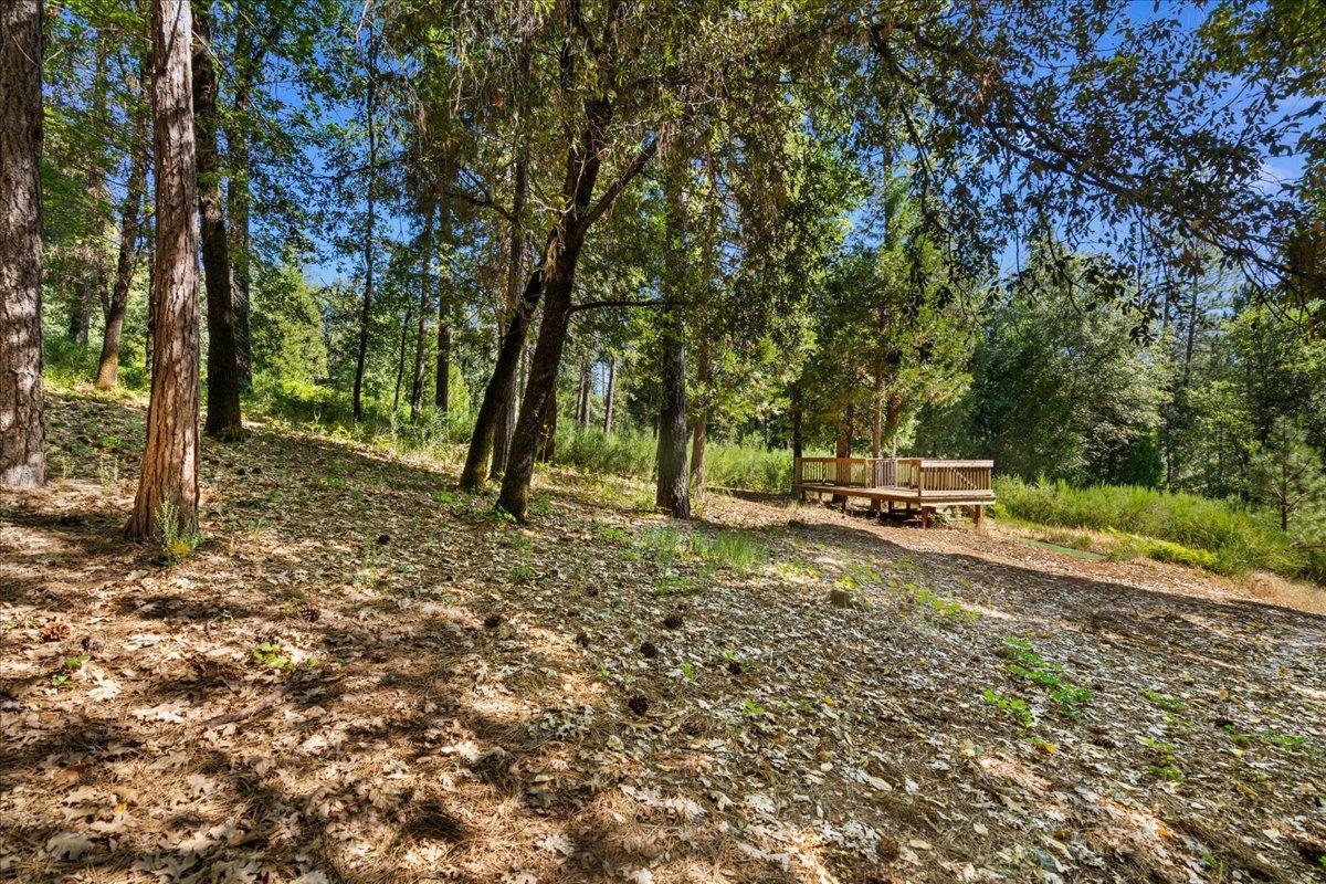 11620 Bitney Springs Road Nevada City, CA 95959 - Photo 10 of 19 a view of a yard with tree s
