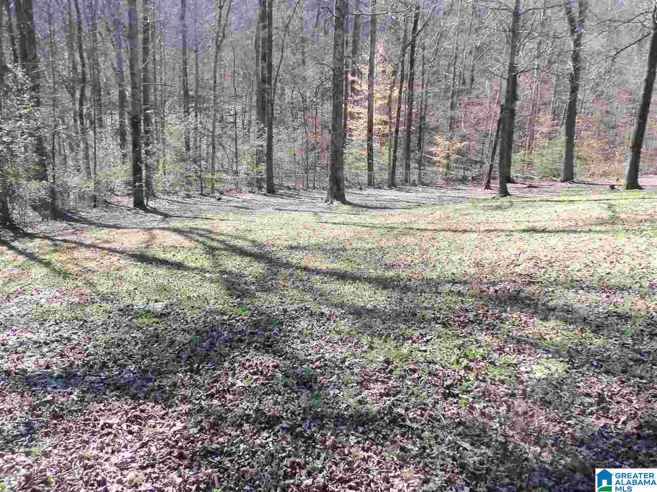 1300 Valley Trail Warrior, AL 35180 - Photo 34 of 39
