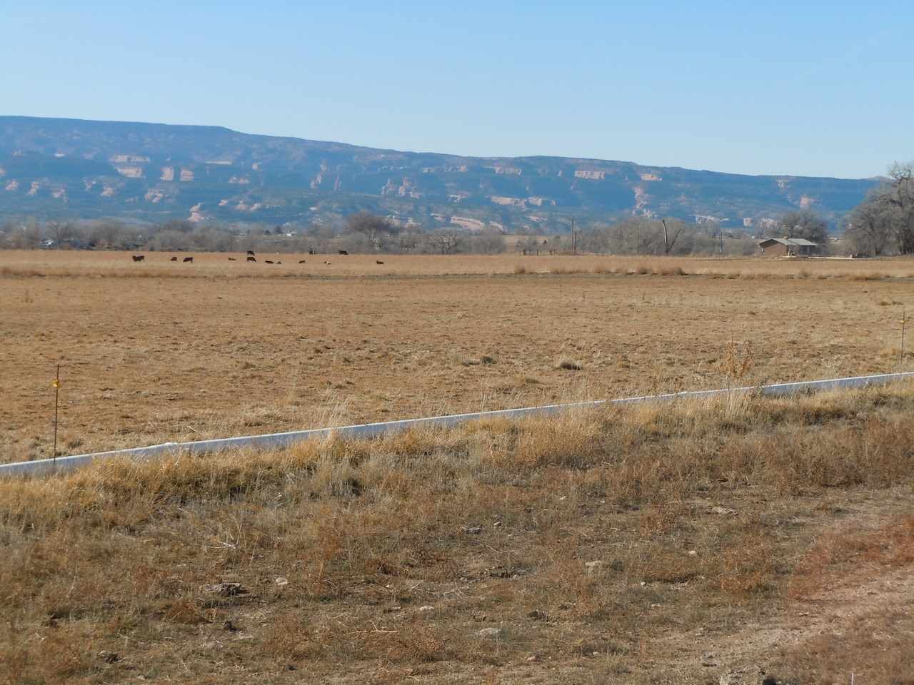 1353 17 1/2 Road Fruita, CO 81521 - Photo 11 of 19 Gallery Image 11