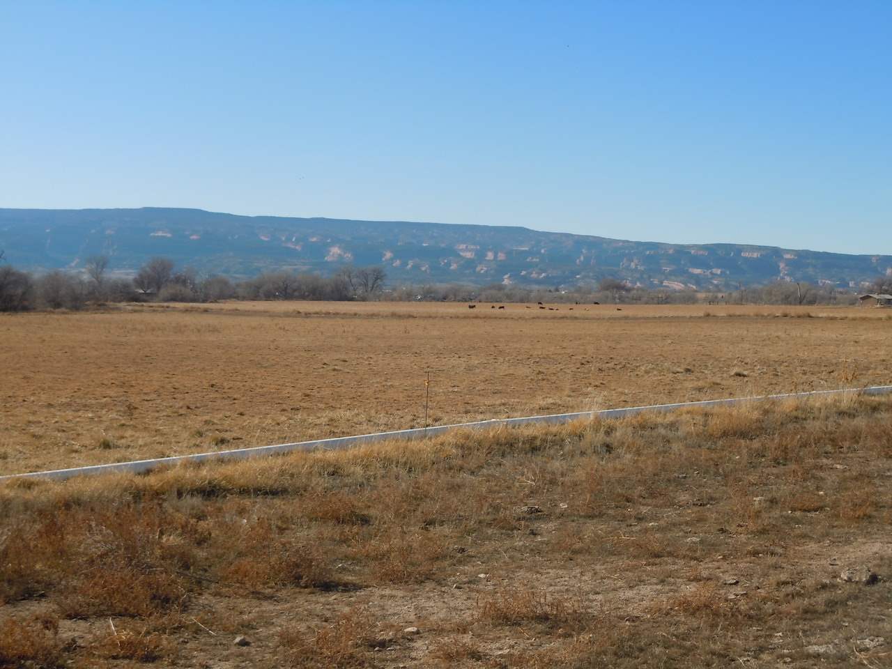 1353 17 1/2 Road Fruita, CO 81521 - Photo 12 of 19 Gallery Image 12