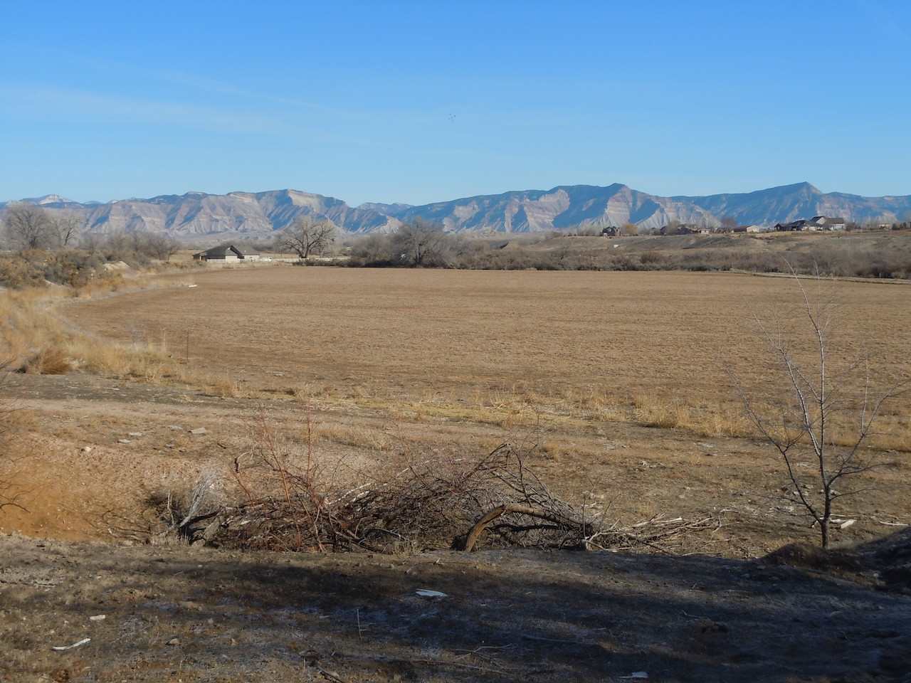1353 17 1/2 Road Fruita, CO 81521 - Photo 13 of 19 Gallery Image 13