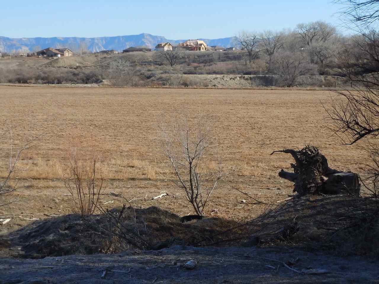 1353 17 1/2 Road Fruita, CO 81521 - Photo 14 of 19 Gallery Image 14