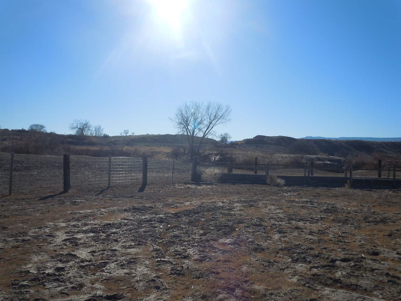 1353 17 1/2 Road Fruita, CO 81521 - Photo 16 of 19 Gallery Image 16