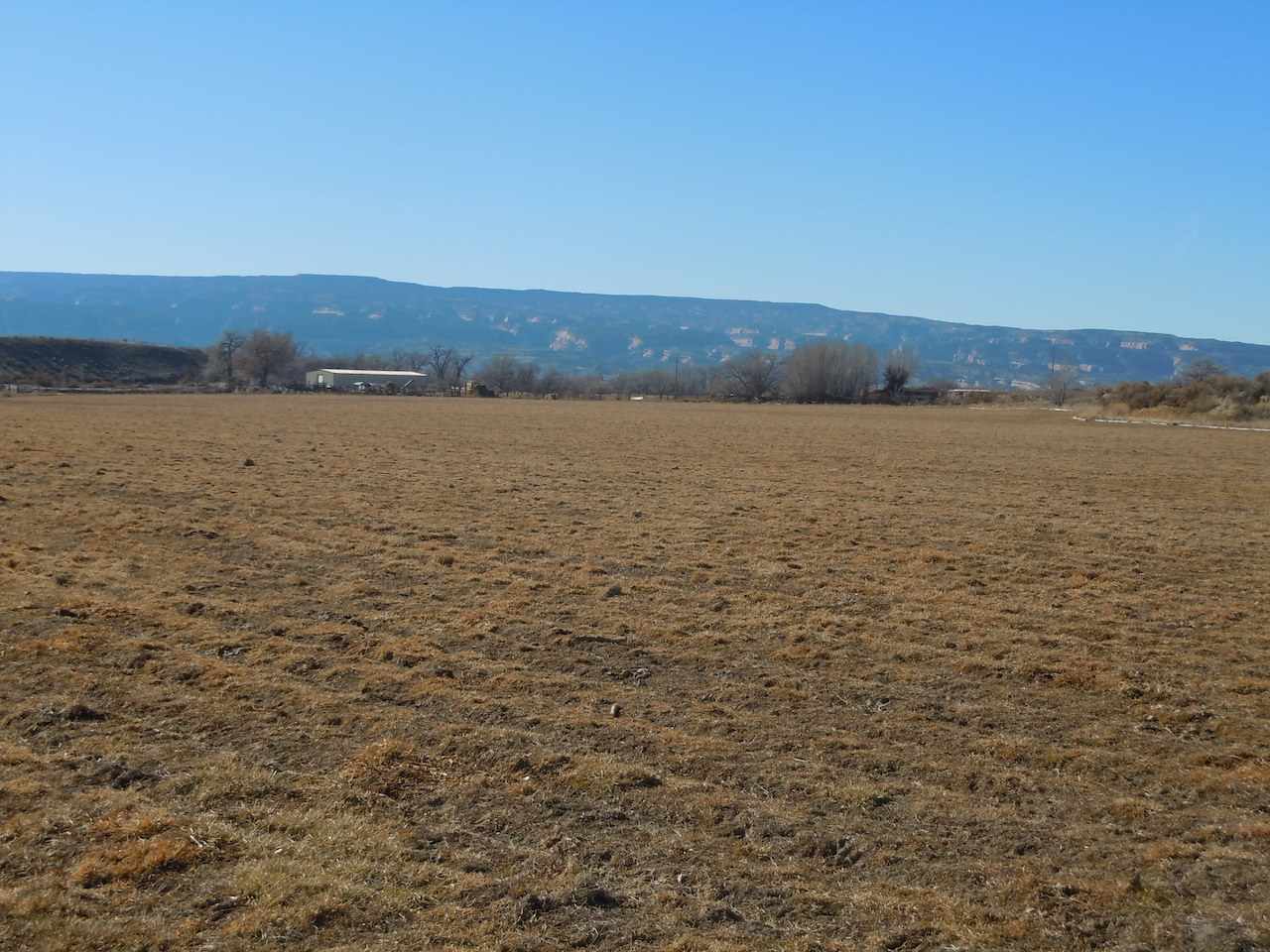 1353 17 1/2 Road Fruita, CO 81521 - Photo 17 of 19 Gallery Image 17