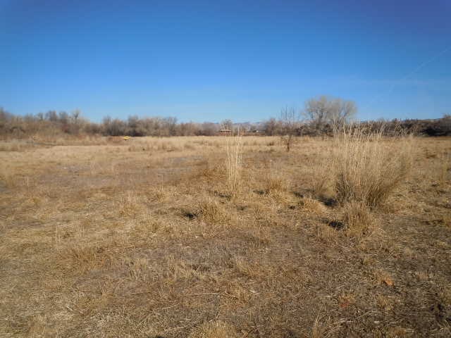 1353 17 1/2 Road Fruita, CO 81521 - Photo 19 of 19 Gallery Image 19