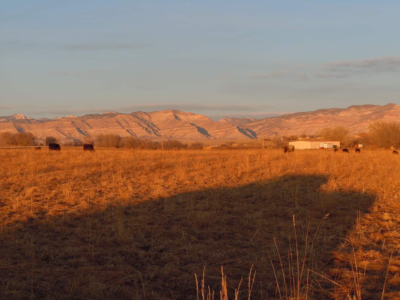 1353 17 1/2 Road Fruita, CO 81521 - Photo 2 of 19 Gallery Image 2