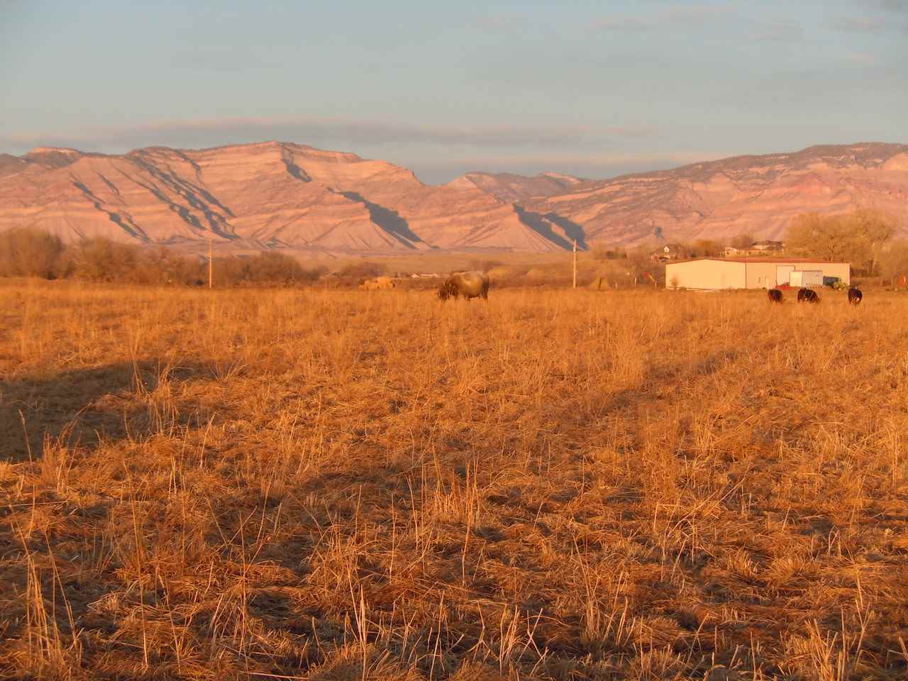 1353 17 1/2 Road Fruita, CO 81521 - Photo 3 of 19 Gallery Image 3
