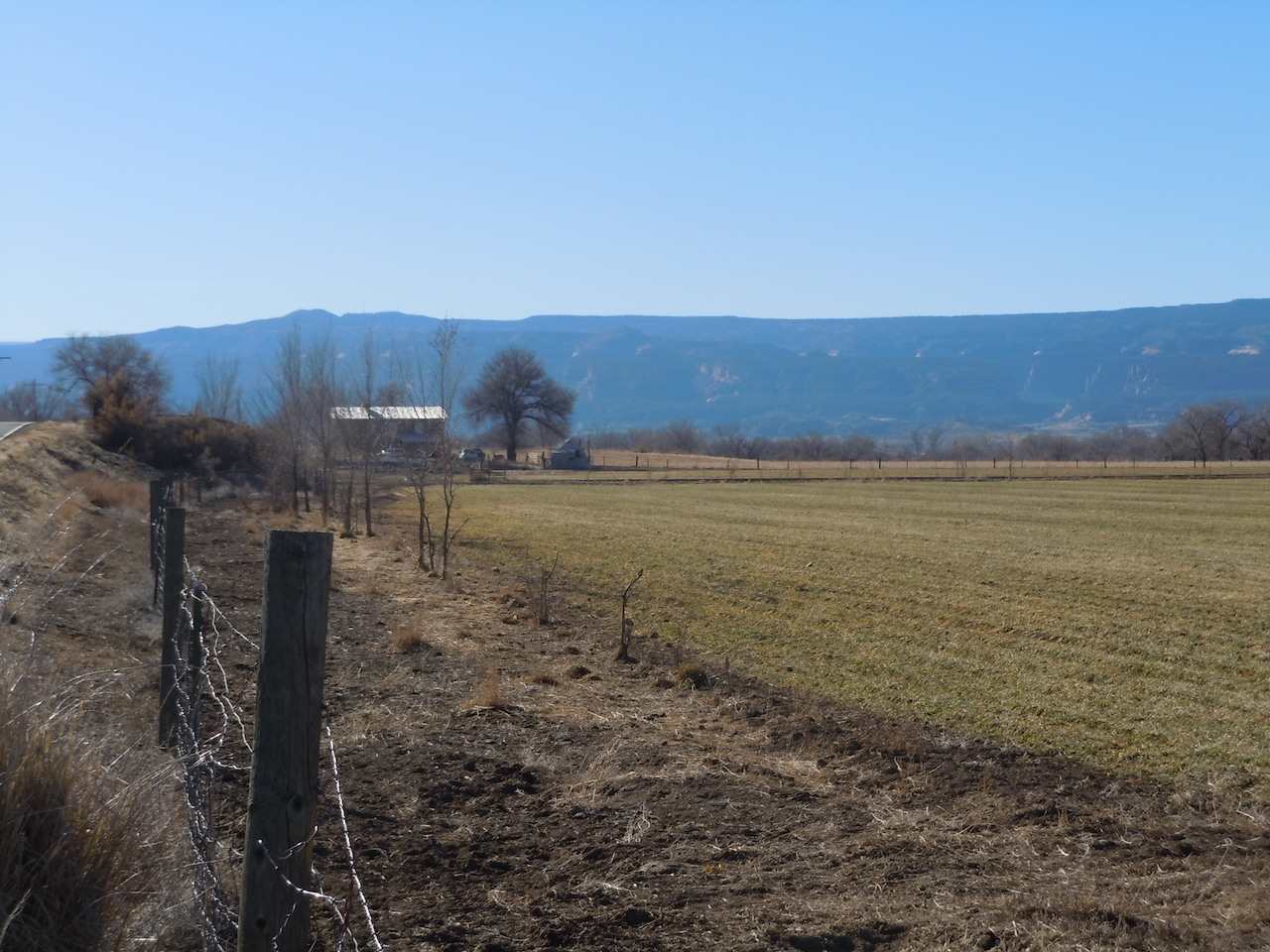 1353 17 1/2 Road Fruita, CO 81521 - Photo 5 of 19 Gallery Image 5