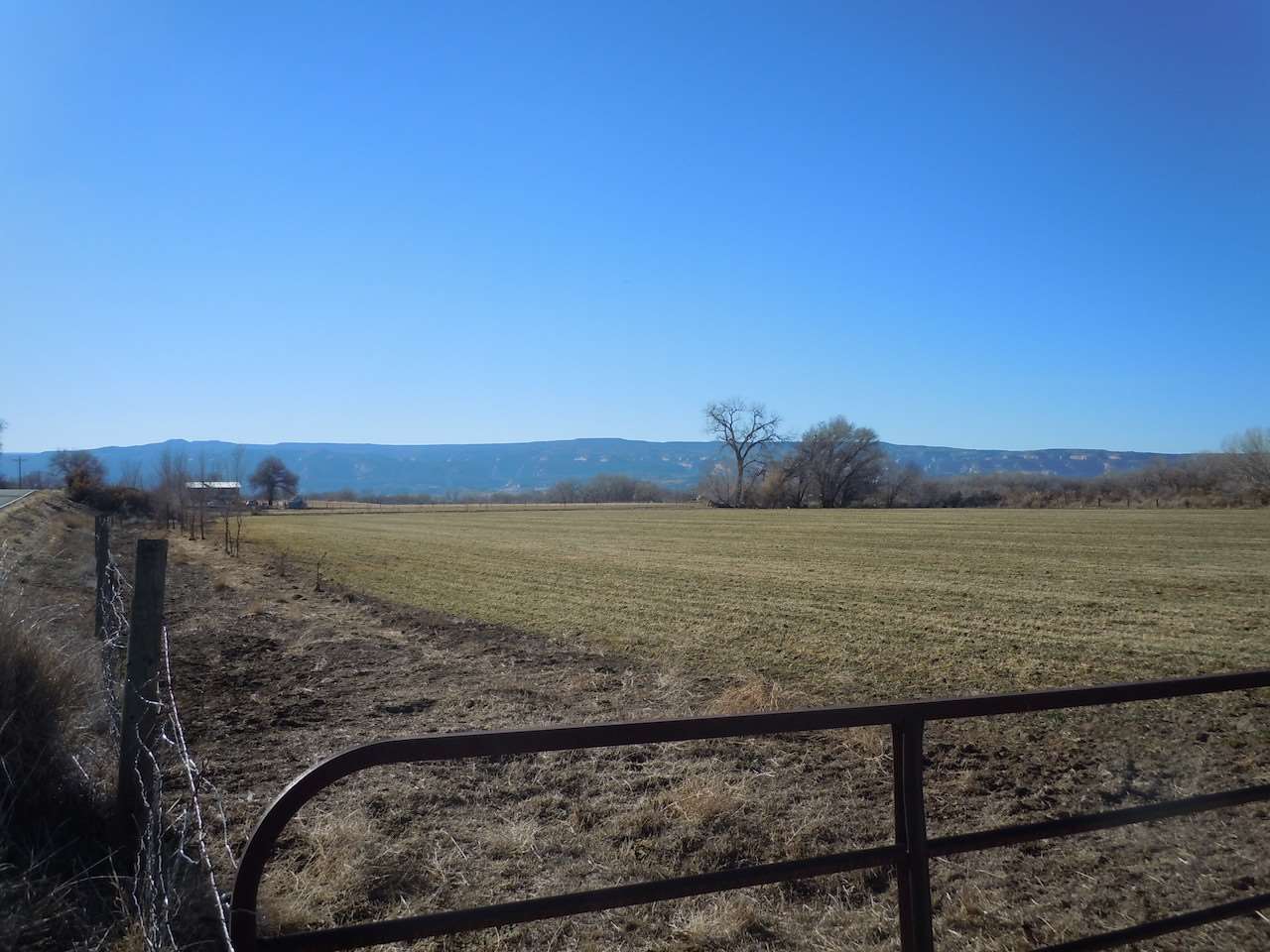 1353 17 1/2 Road Fruita, CO 81521 - Photo 6 of 19 Gallery Image 6