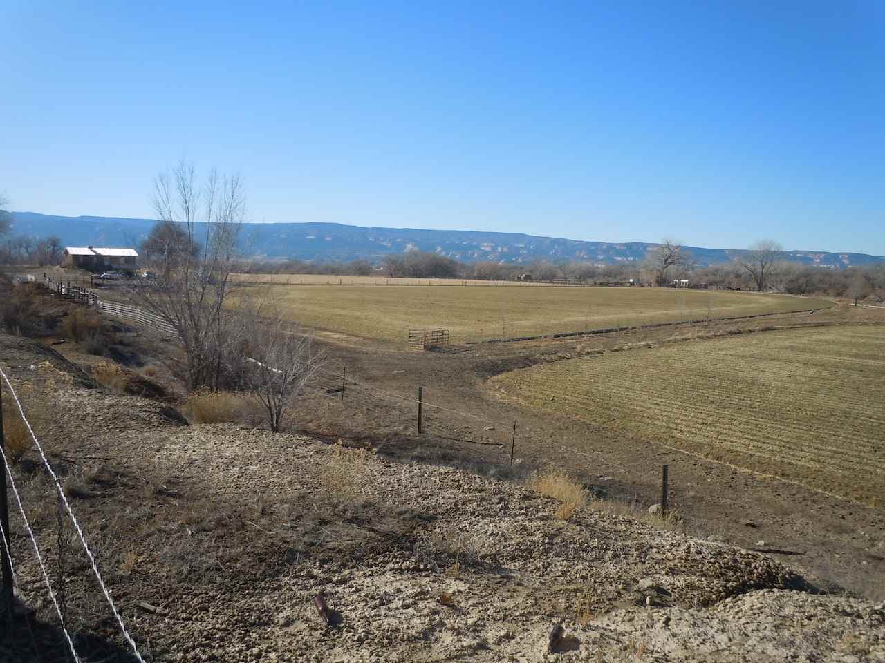 1353 17 1/2 Road Fruita, CO 81521 - Photo 7 of 19 Gallery Image 7