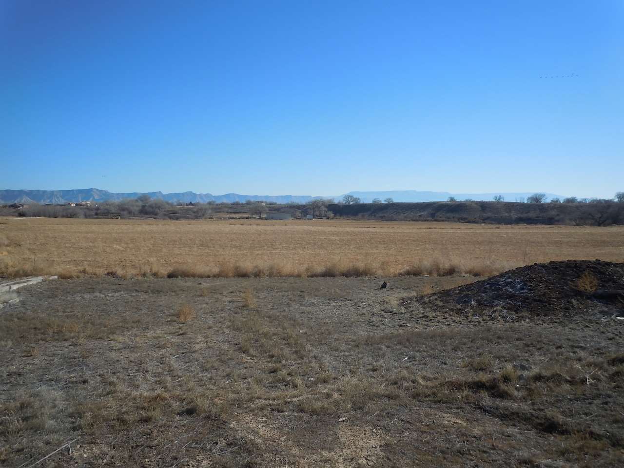 1353 17 1/2 Road Fruita, CO 81521 - Photo 8 of 19 Gallery Image 8