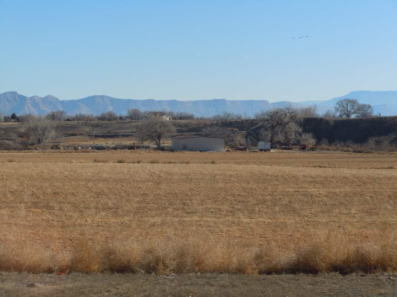 1353 17 1/2 Road Fruita, CO 81521 - Photo 9 of 19 Gallery Image 9