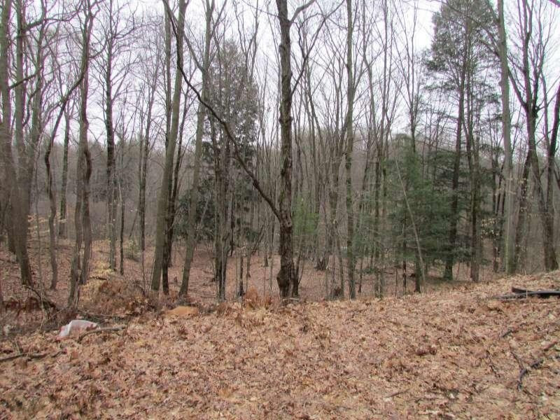 5502 South Carr Road Fruitport, MI 49415 - Photo 19 of 21 Acreage