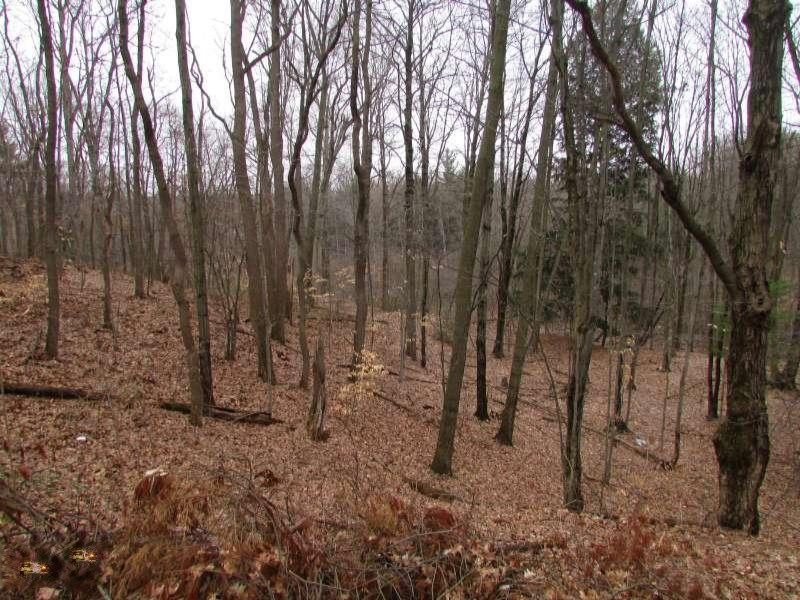 5502 South Carr Road Fruitport, MI 49415 - Photo 20 of 21 Acreage