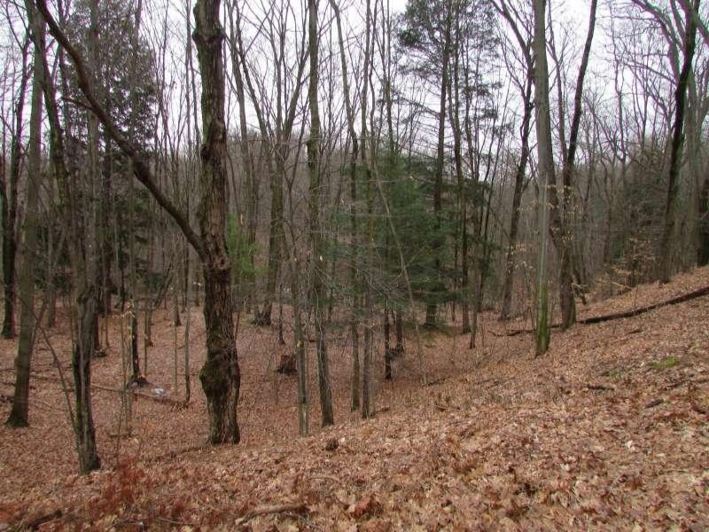 5502 South Carr Road Fruitport, MI 49415 - Photo 21 of 21 Acreage