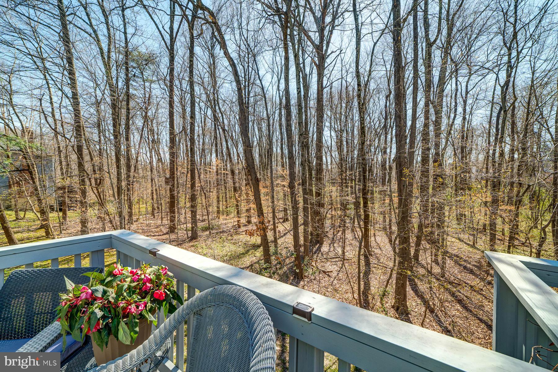 6724 Passageway Place Burke, VA 22015 - Photo 68 of 77