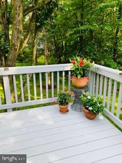 6724 Passageway Place Burke, VA 22015 - Photo 69 of 77 Owner's photos from last spring/summer