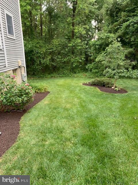 6724 Passageway Place Burke, VA 22015 - Photo 71 of 77 Owner's photos from last spring/summer