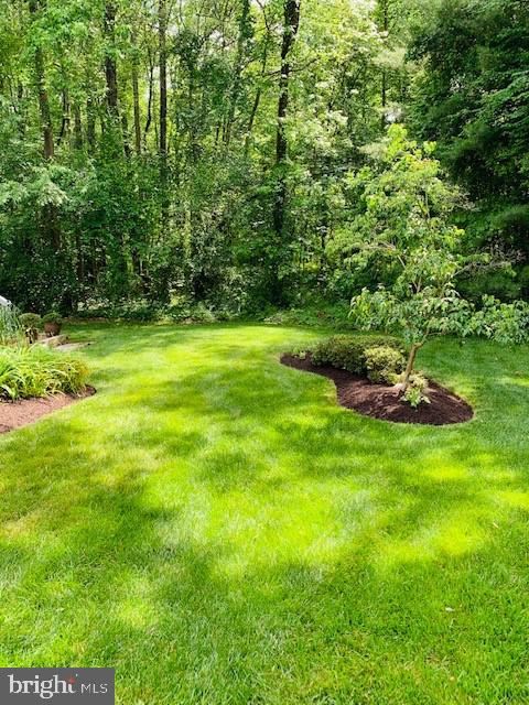 6724 Passageway Place Burke, VA 22015 - Photo 74 of 77 Owner's photos from last spring/summer