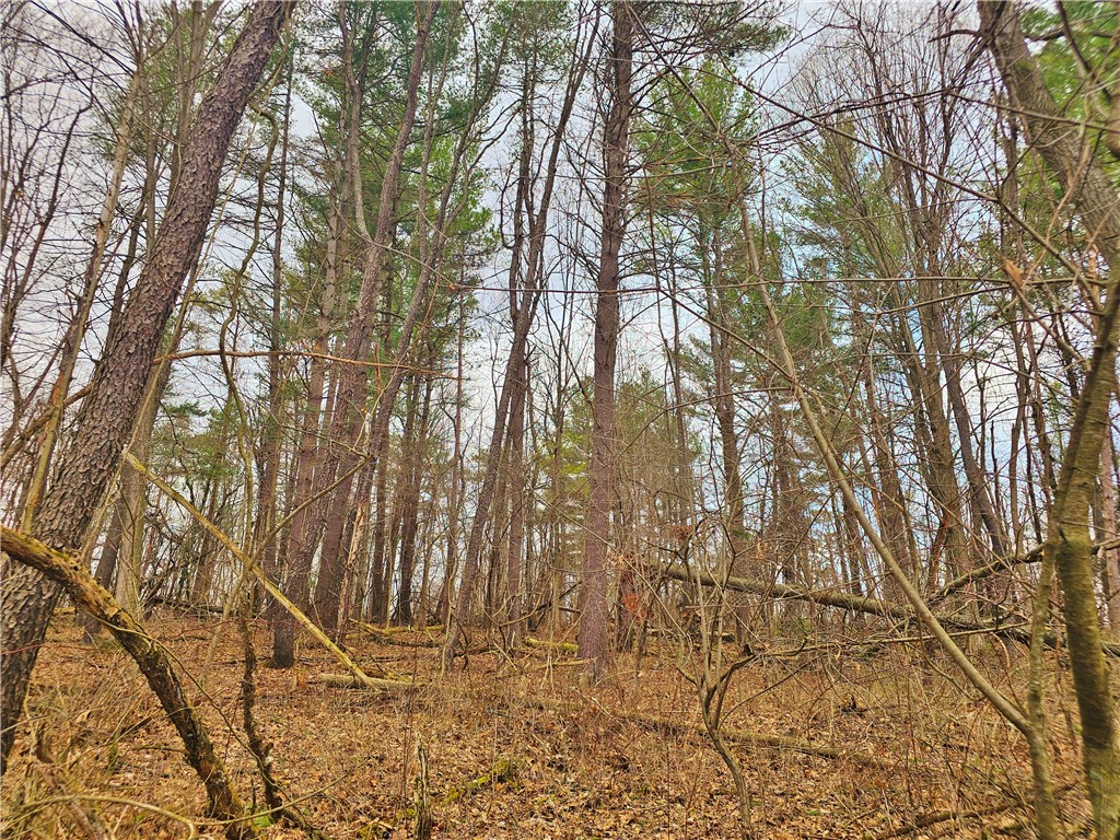 2130 Guyanoga Road Jerusalem, NY 14527 - Photo 9 of 26