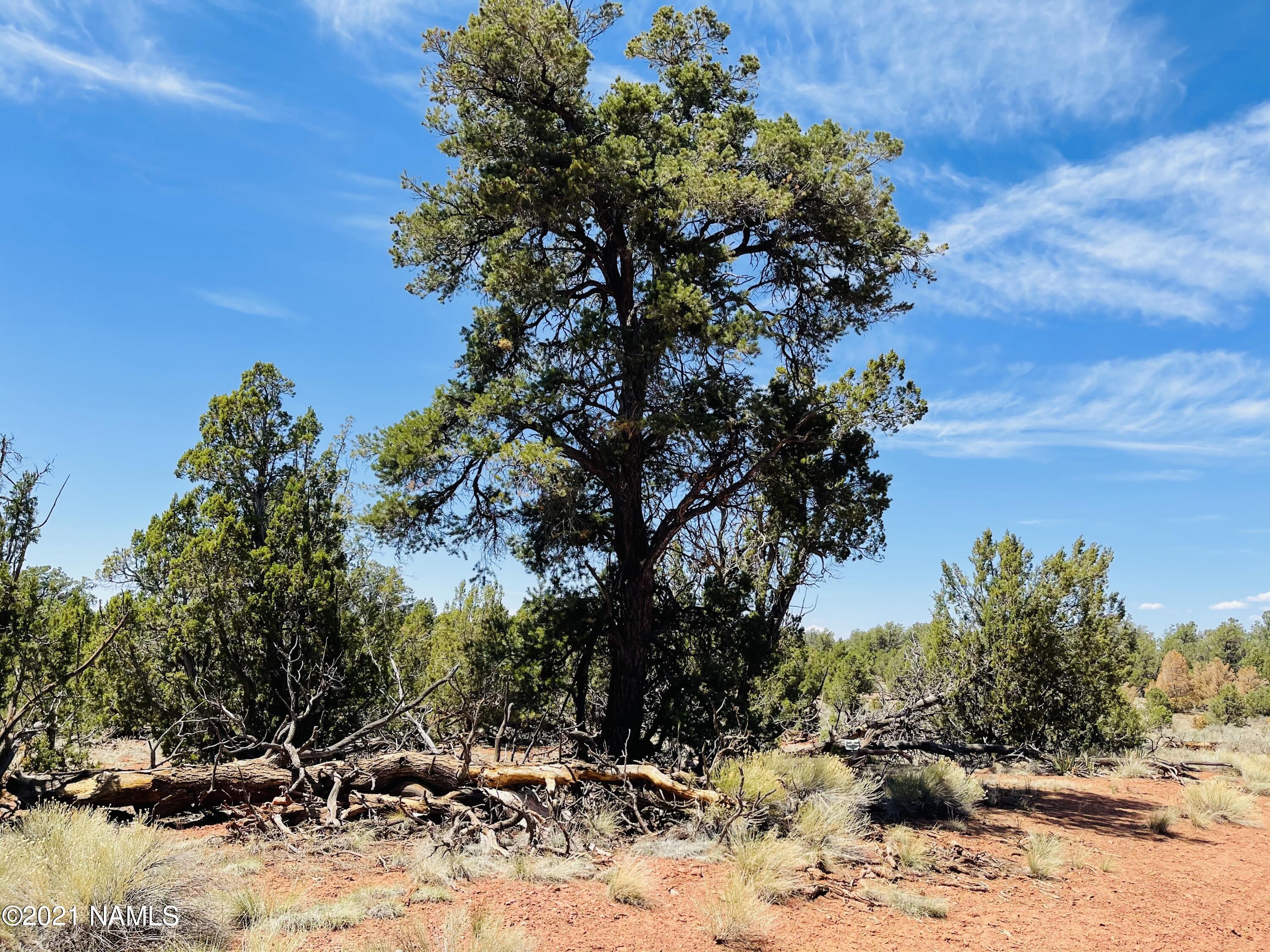 5128 North Bull Run Road Williams, AZ 86046 - Photo 1 of 16 5128 N Bull Run Rd