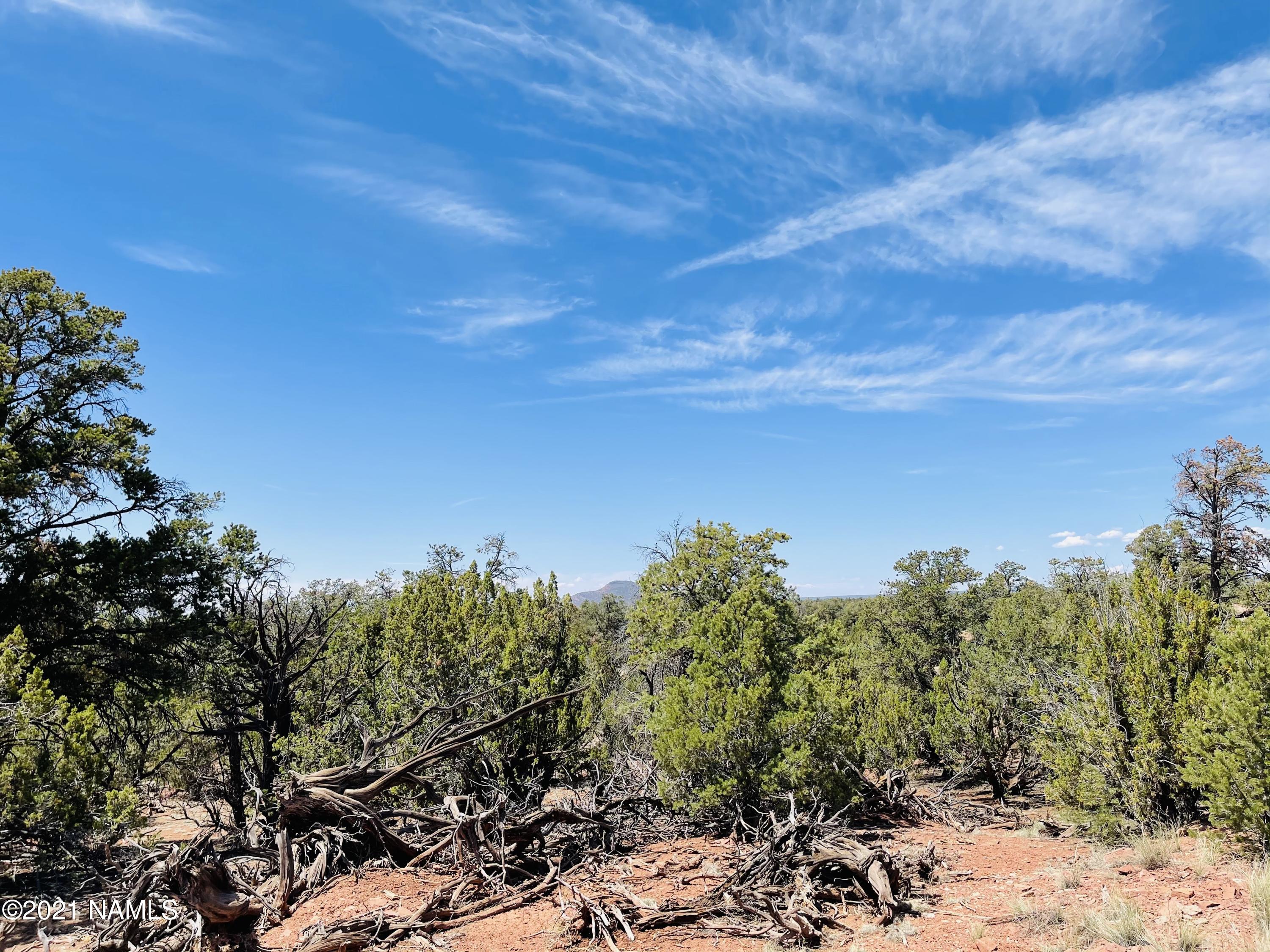 5128 North Bull Run Road Williams, AZ 86046 - Photo 11 of 16 5128 N Bull Run Rd Photo 11