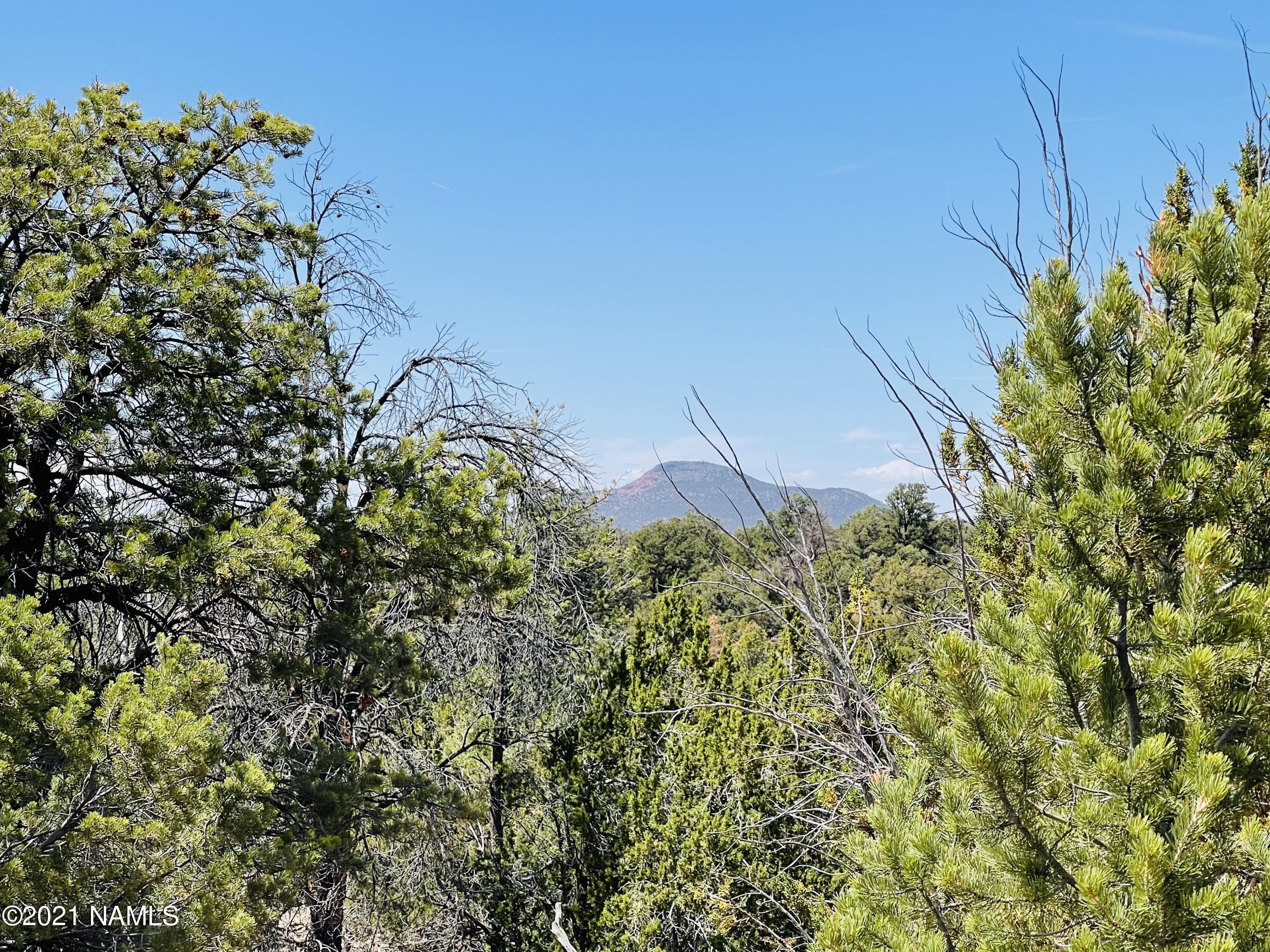 5128 North Bull Run Road Williams, AZ 86046 - Photo 12 of 16 5128 N Bull Run Rd Photo 12