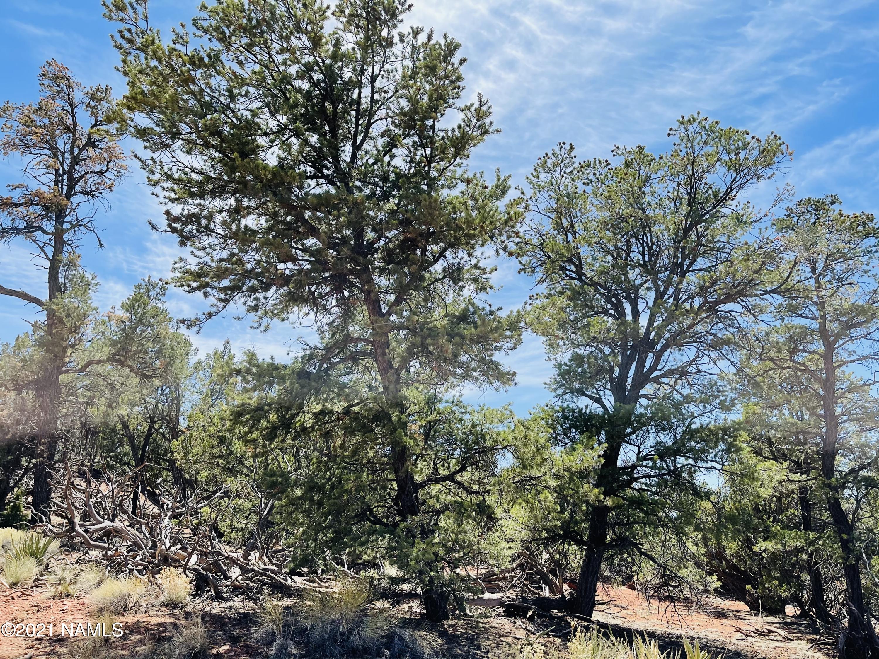 5128 North Bull Run Road Williams, AZ 86046 - Photo 3 of 16 5128 N Bull Run Rd Photo 3