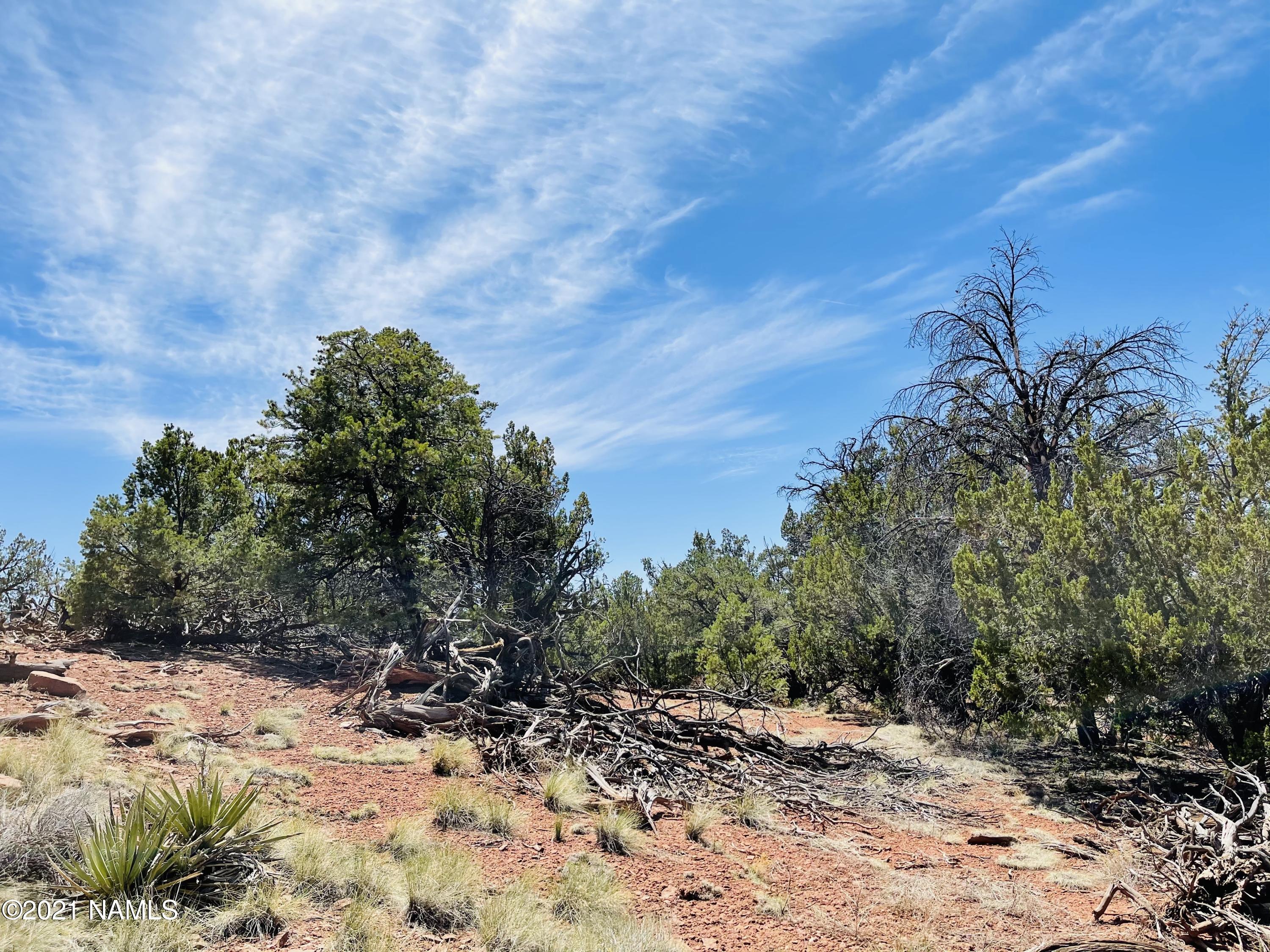 5128 North Bull Run Road Williams, AZ 86046 - Photo 6 of 16 5128 N Bull Run Rd Photo 6