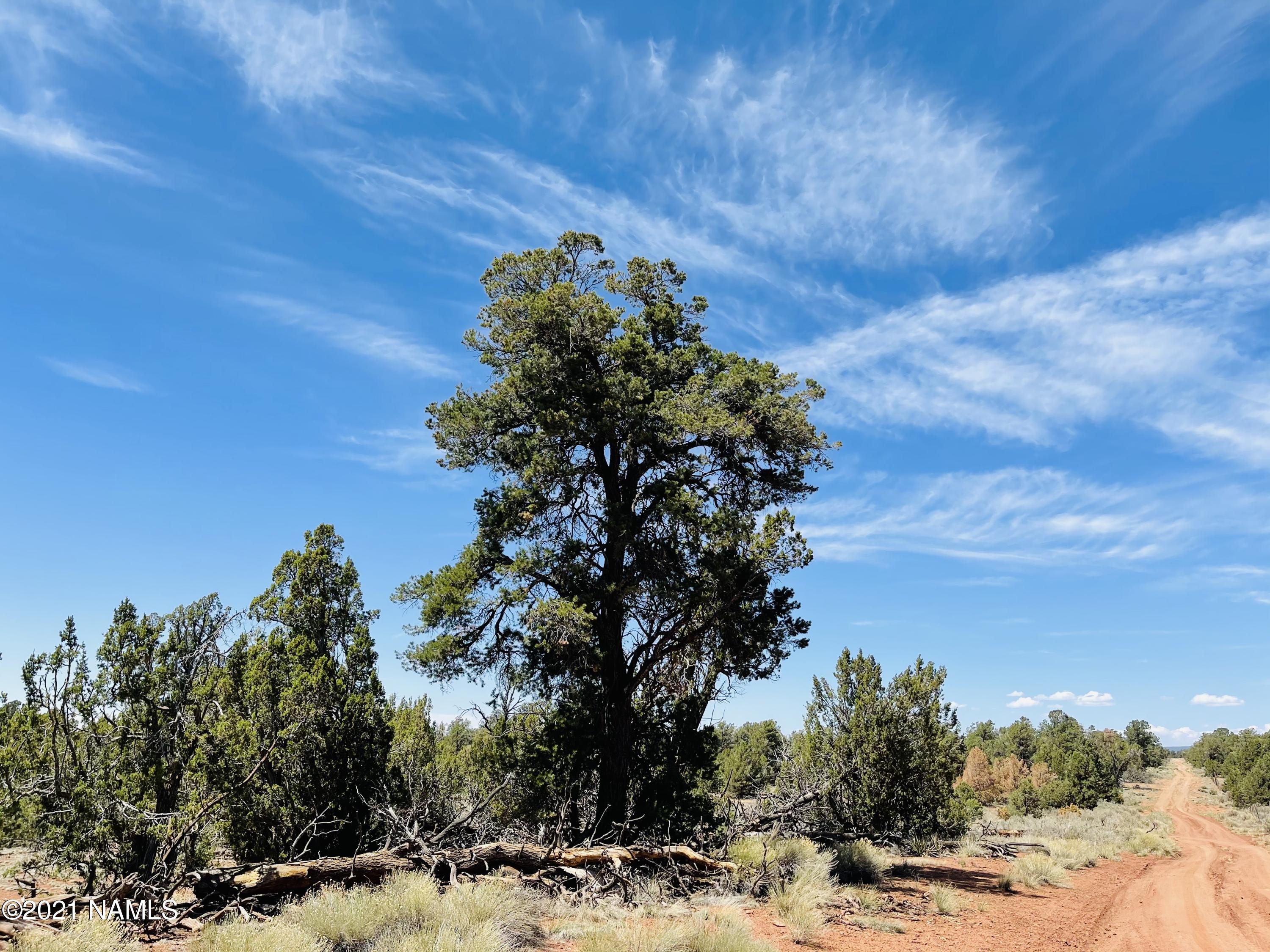 5128 North Bull Run Road Williams, AZ 86046 - Photo 8 of 16 5128 N Bull Run Rd Photo 8