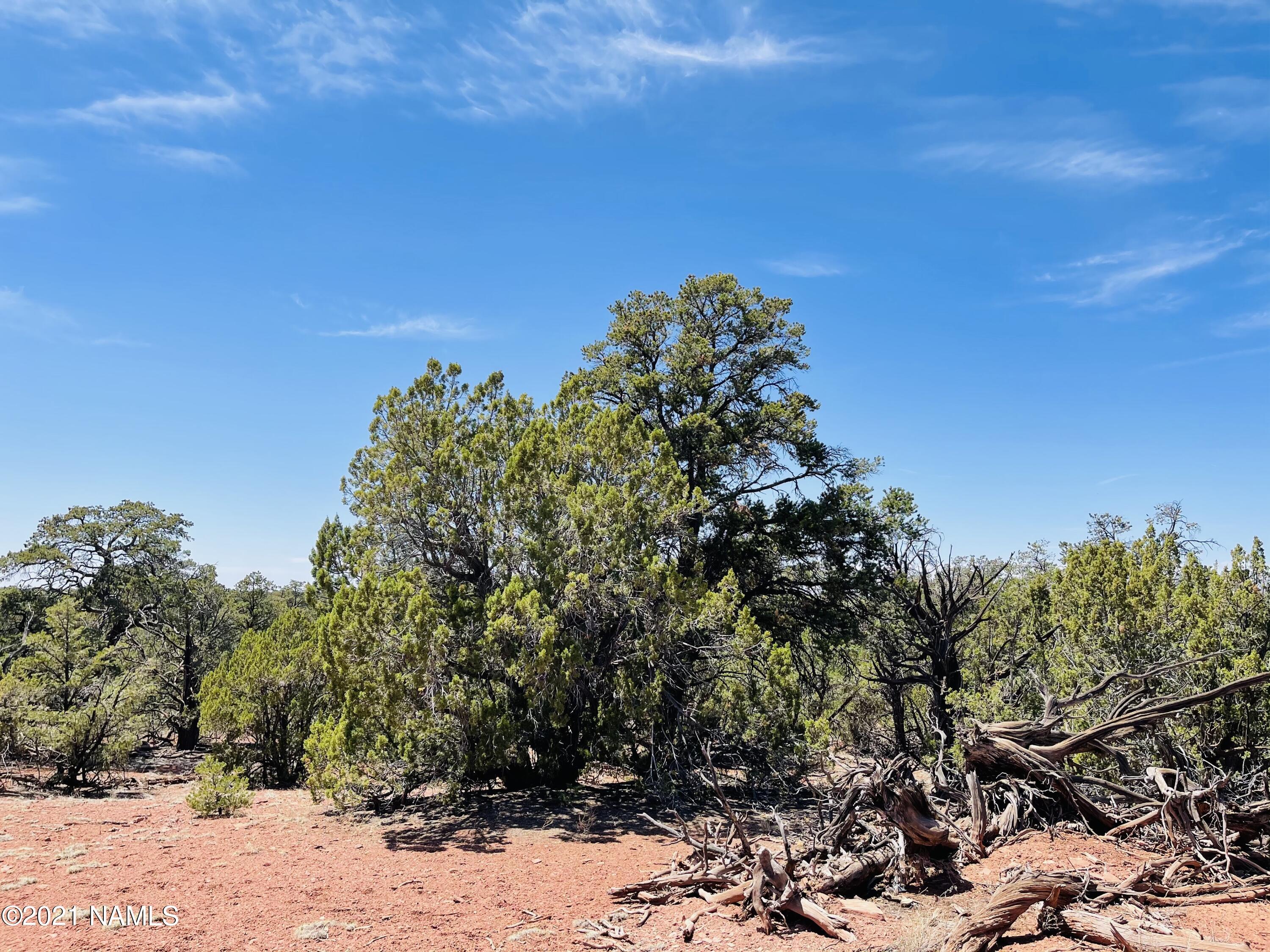 5128 North Bull Run Road Williams, AZ 86046 - Photo 10 of 16 5128 N Bull Run Rd Photo 10