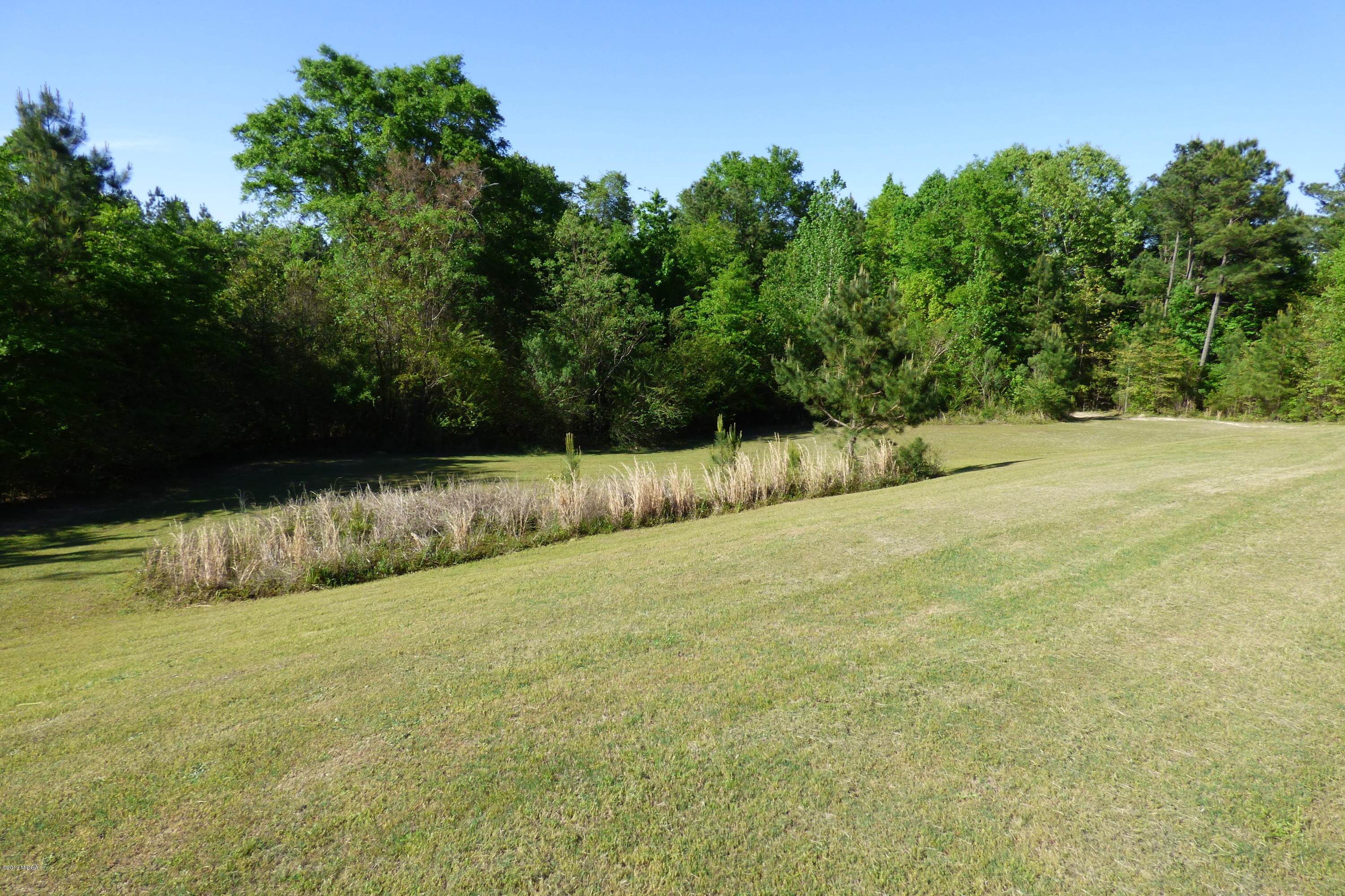 323 Rustin Road Reynolds, GA 31076 - Photo 7 of 25 a view of a yard with large trees