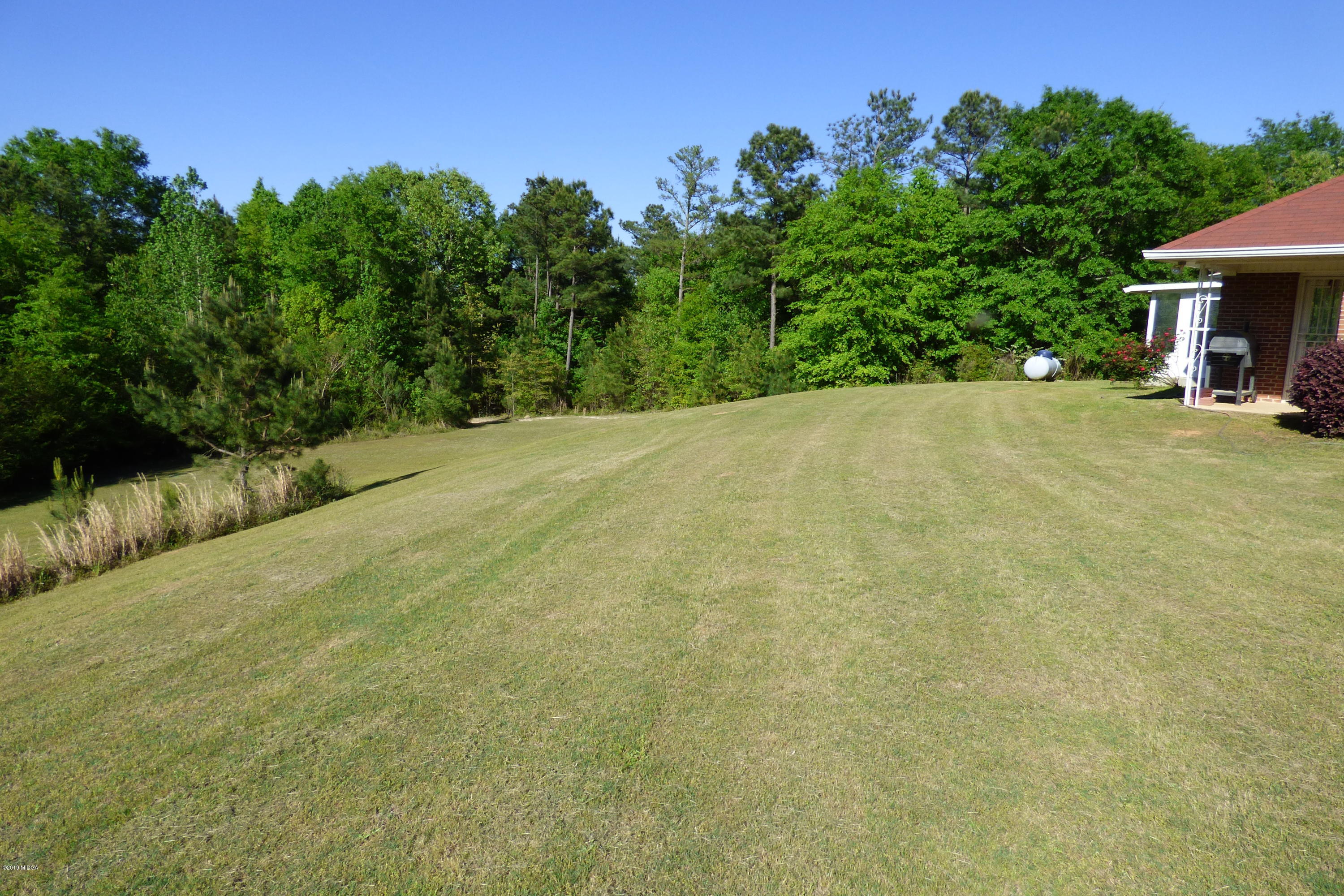 323 Rustin Road Reynolds, GA 31076 - Photo 8 of 25 a view of outdoor space and yard
