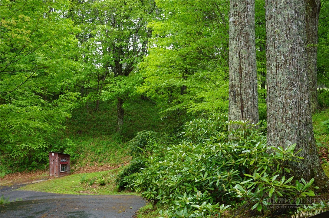 557 White Pine Road Newland, NC 28657 - Photo 38 of 41 a backyard of a house with lots of green space