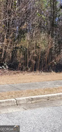 a view of a yard with large trees