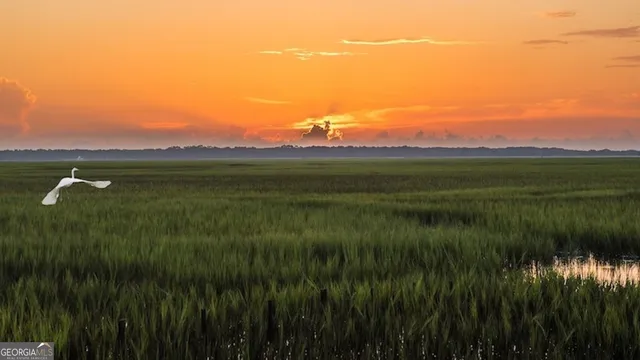a view of lake with green space