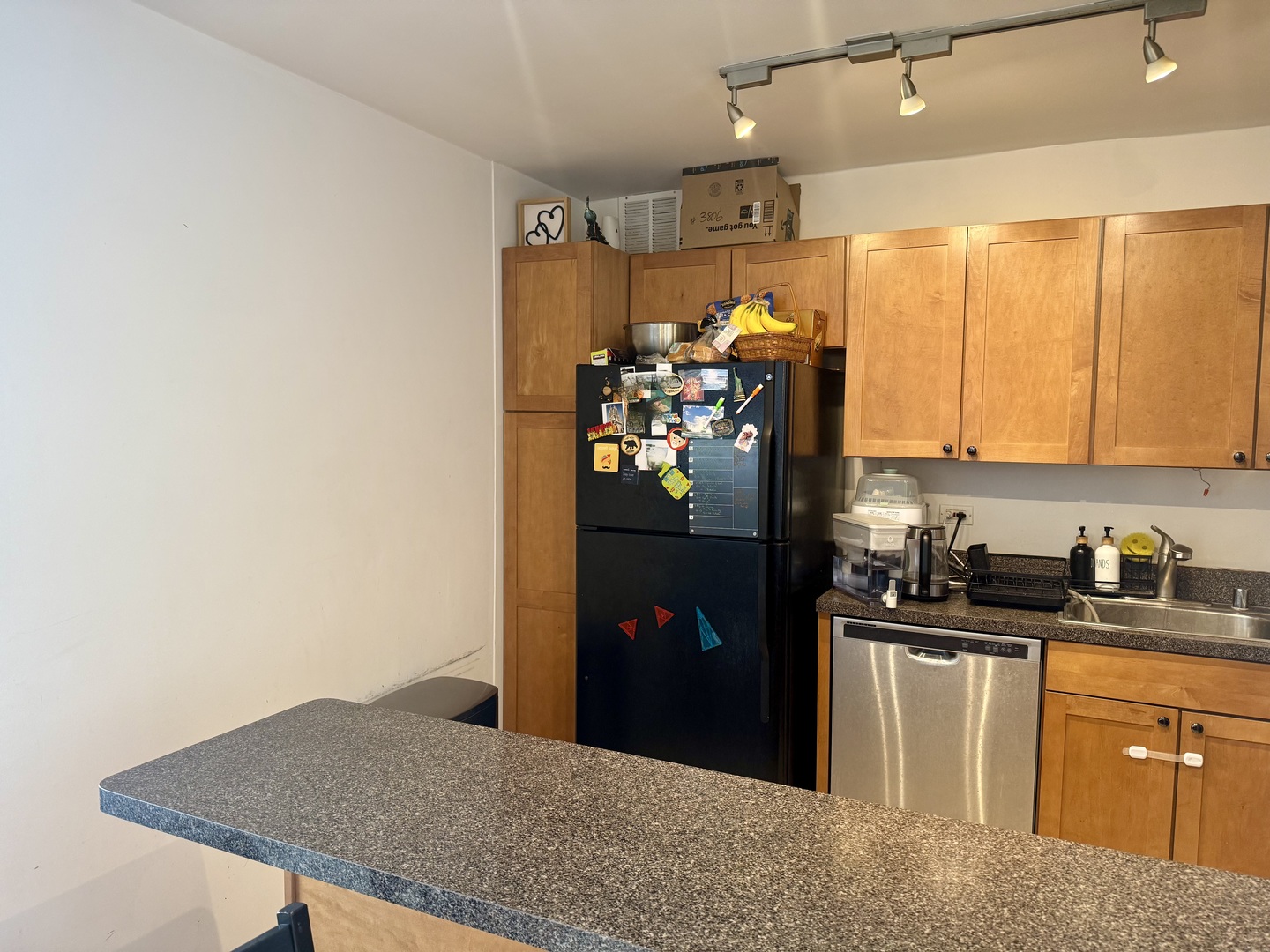 655 West Irving Park Road, Unit 3806 Chicago, IL 60613 - Photo 10 of 18