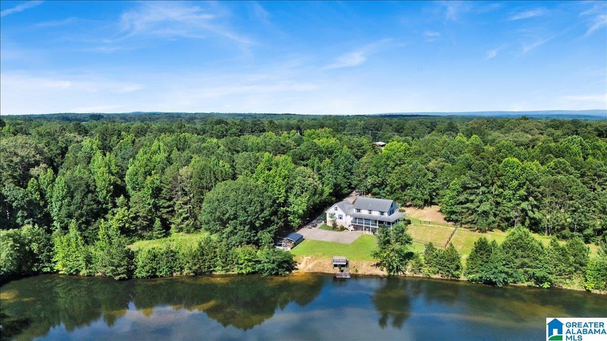 9868 Bankston Road Dora, AL 35062 - Photo 5 of 48